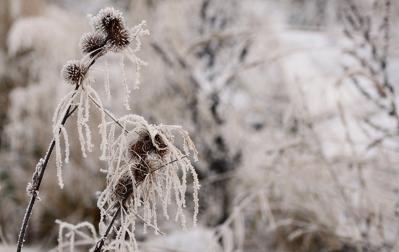 Inspiring Winter Art Projects to Try This Season